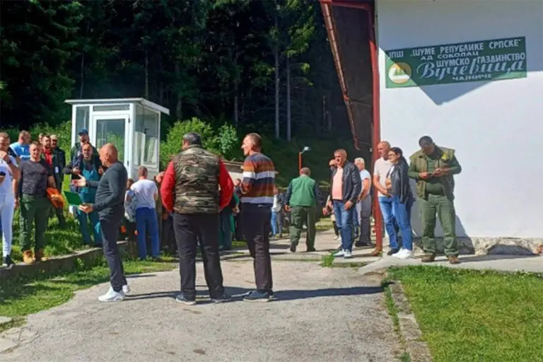 Radnici šumarije mjesecima bez plate, neki nemaju ni za hranu