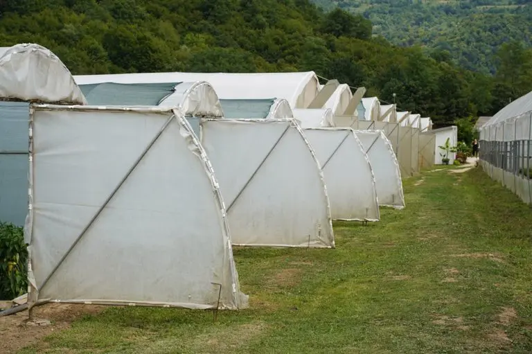 Plastenik, po plastenik, do pametne farme: Kako je zadruga iz Konjević Polja postala simbol moderne poljoprivrede u BiH