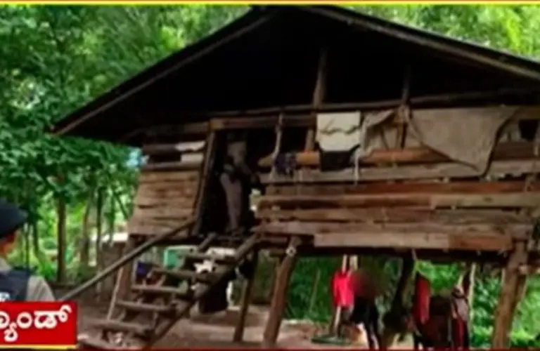 Pronađen dječak koji je rastao sa psima, zna samo lajati (VIDEO)