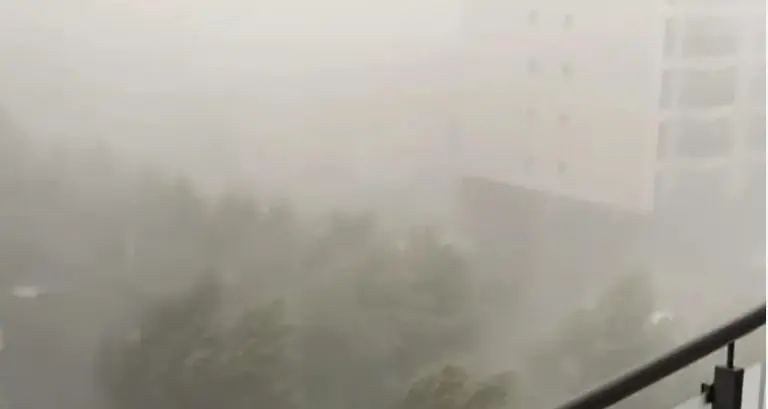 Apokaliptične scene nevremena: Oluja ruši stabla, poginula jedna žena