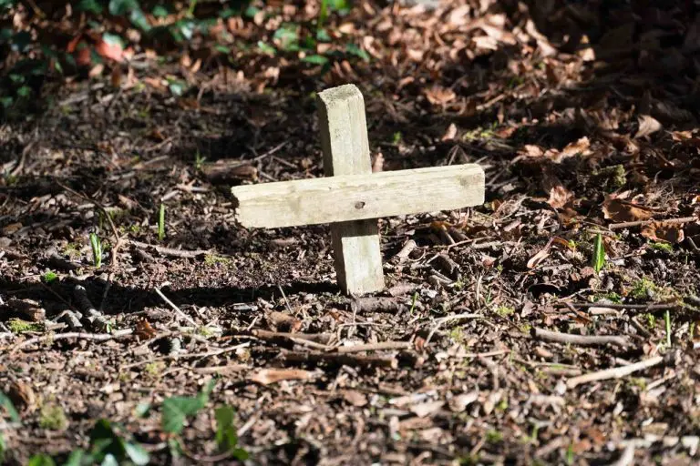 Počelo iskopavanje masovne grobnice u Irskoj, vjeruje se da sadrži ostatke gotovo 800 beba