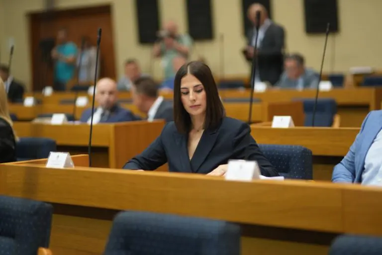 U „Šumama Srpske“ ni novca, ni šume