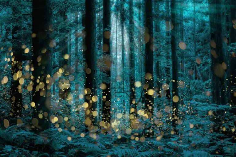 Jesmo li posljednja generacija koja će vidjeti svice