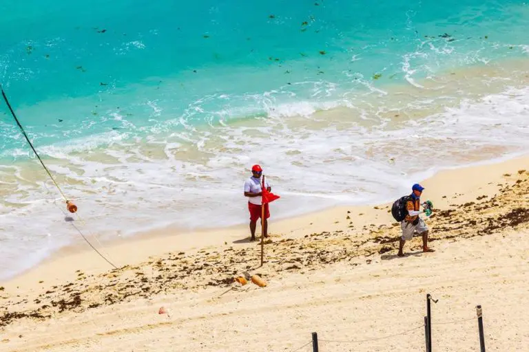 Turisti ne smiju u vodu: Španija zatvorila plažu zbog najezde morskih stvorenja
