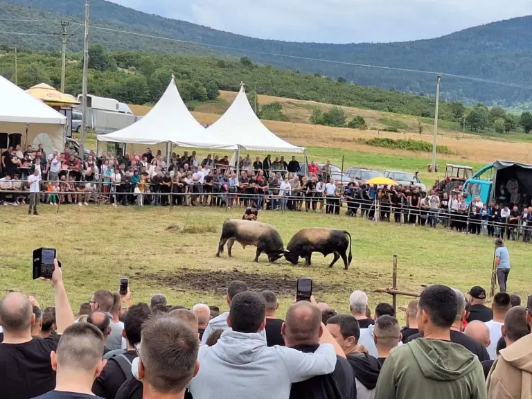 Incident na Kočićevom zboru: Djevojka ubola mladića, okupljanje prekinuto