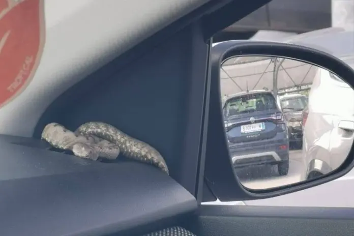 20250901143349520119