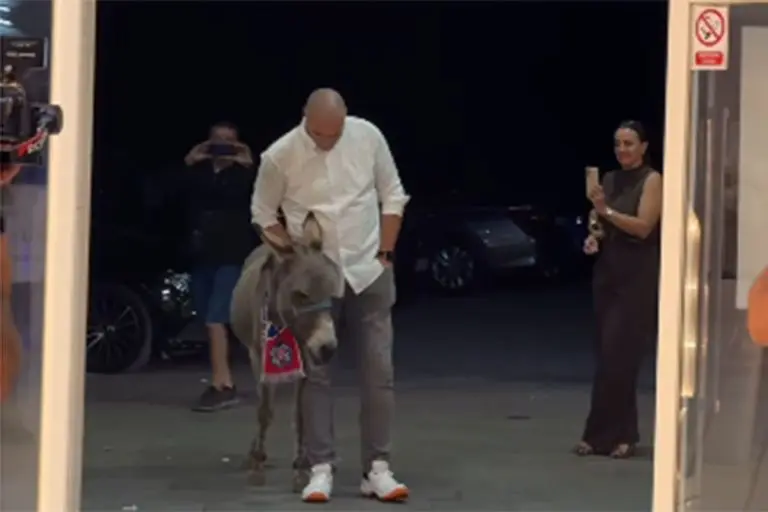 Mostarska svadba hit na mrežama: Kum mladencu doveo magarca kao poklon (VIDEO)