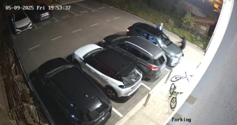Oglasila se i policija o napadu na Branislava Borenovića: U toku potraga za počiniocima