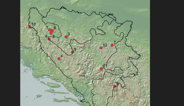 BiH ima čak 12 prašuma, a u jednoj stabla dostižu  blizu 60 metara!