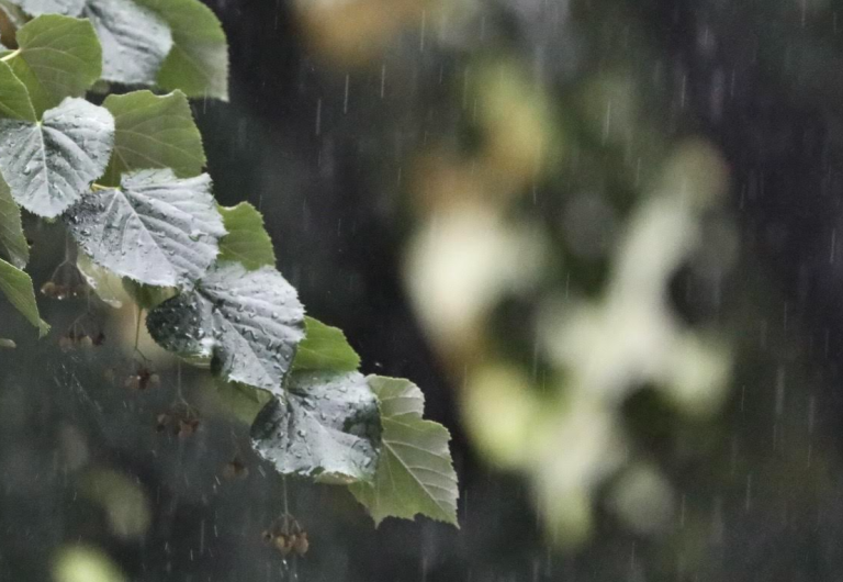 Stižu kiša i pljuskovi