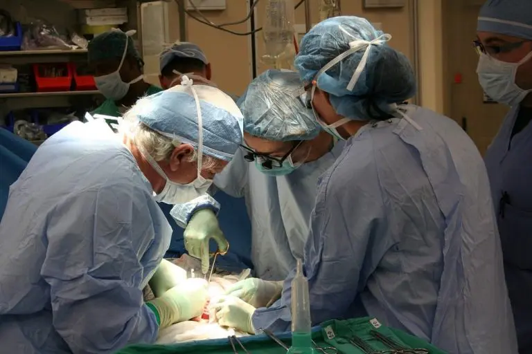 Transplantacija – kada život dobije drugu šansu