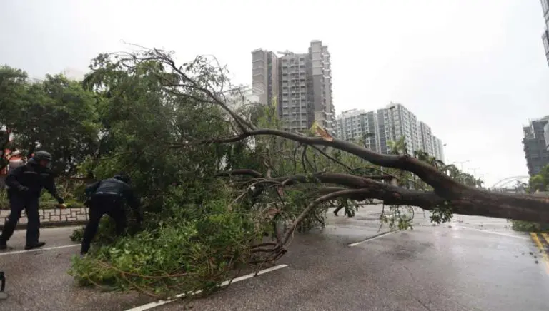 Supertajfun potapa Hong Kong, raste broj žrtava na Tajvanu