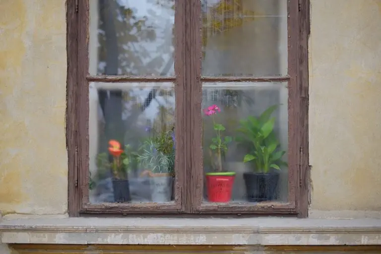 Za prošle dane, Čoletu i Halidu