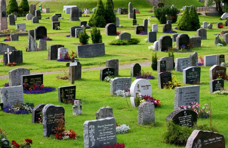 Aleja nezaslužnih: Groblje kao ogledalo zaborava