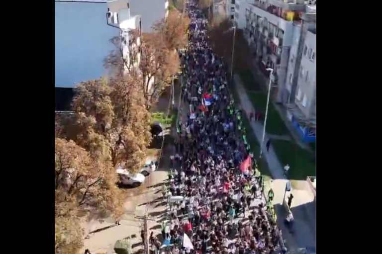 Arhiv javnih skupova: Evo koliko je građana krenulo pješke iz Beograda za Novi Sad