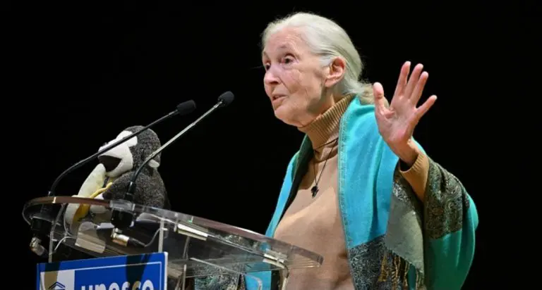 Preminula slavna Jane Goodall