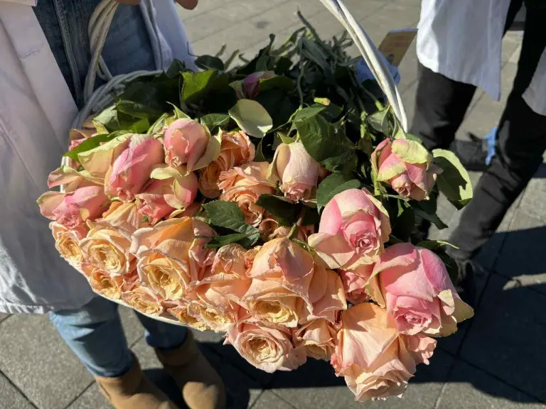 Rast broja oboljelih od karcinoma dojke: Sve veći broj oboljelih muškaraca. Danas i sutra besplatni pregledi u Banjaluci!