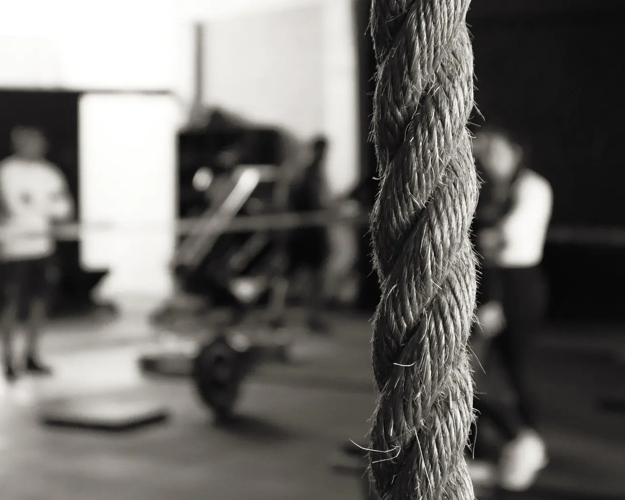 gym-6805282_1280