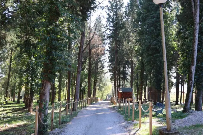 Hutovo blato zadržava više ugljične mase nego sve šume u BiH