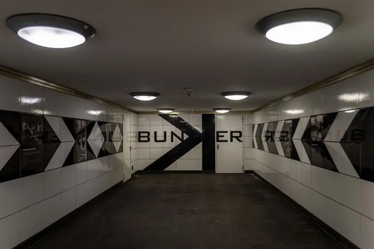 Theodor Adorno: Šta znači „suočavanje sa prošlošću“