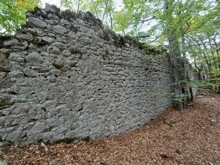 Najveće otkriće dosad: Otkriven zaboravljeni srednjovjekovni grad u BiH