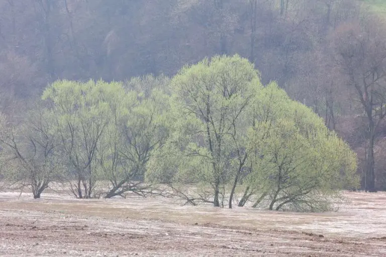 Izdano upozorenje za moguće poplave i bujice u Hercegovini