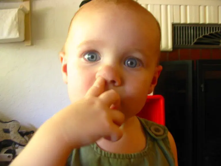 Kakve veze ima kopanje nosa sa razvojem Alchajmerove bolesti?