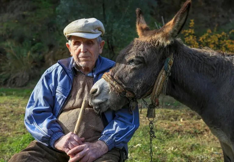 Slijepi djed Raif već 24 godine se kreće zahvaljujući svom magarcu