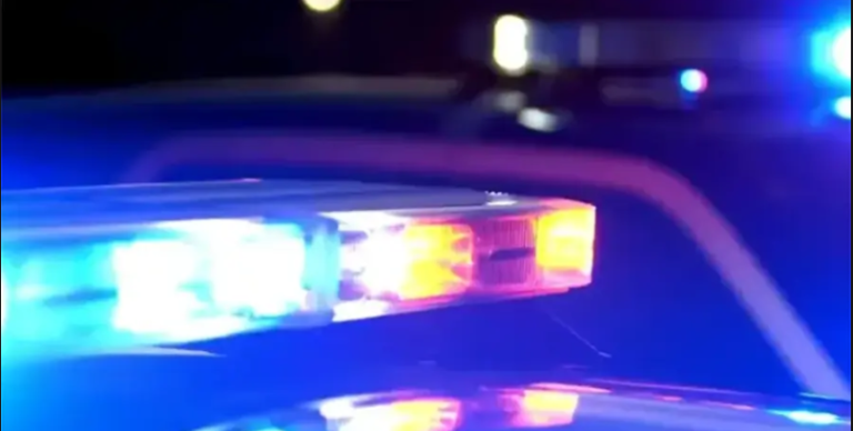 Tragedija u Njemačkoj: Poginule dvije osobe iz BiH, vozač prošao kroz crveno