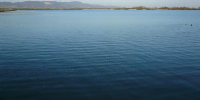 Šaran 6 KM, som 15 KM…: Nekadašnji gigant prodaje ribu da isplati plate radnicima