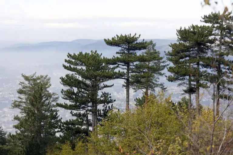 Zrak jutros nezdrav u brojnim gradovima širom BiH, najzagađeniji grad Tuzla