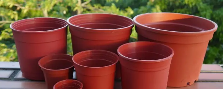 Na pomolu nova zabrana: Evropskoj uniji smetaju čak i saksije