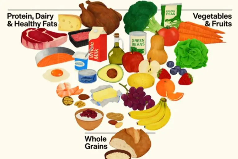 Sjećate li se one stare piramide ishrane iz udžbenika? Pa, zaboravite je!