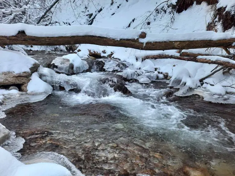 Borba za Kasindolsku rijeku se nastavlja: Novi pokušaj izgradnje MHE „Slapi“, aktivisti poručuju da to neće dopustiti!
