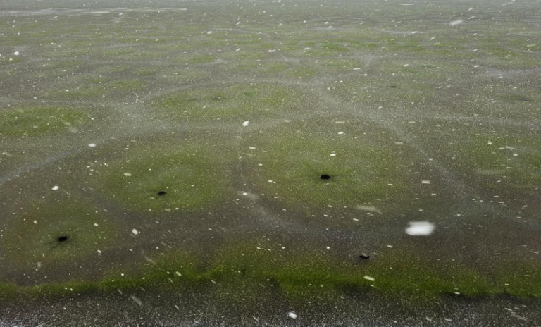 Svi u zemlji bruje o zelenom ledu, naučnici: „Ovako nešto svijet dugo nije vidio“