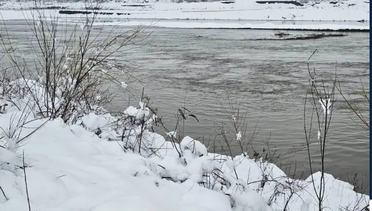 Alarm u Bijeljini: Drina prešla 5 metara, proglašene vanredne mjere odbrane od poplava
