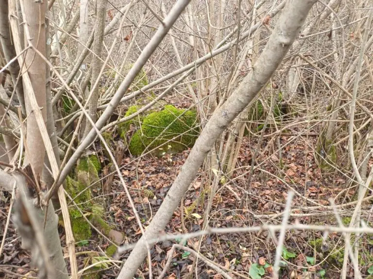 Potpuno uništeni nacionalni spomenik BiH – nekropola Mramorje, selo Međurječje, Čajniče