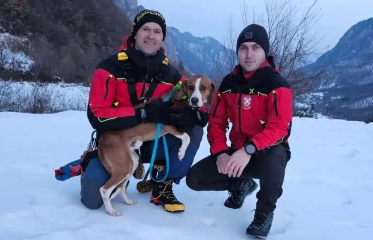 Pripadnici GSS-a Jablanica spasili lovačkog psa zaglavljenog u stijenama (VIDEO)