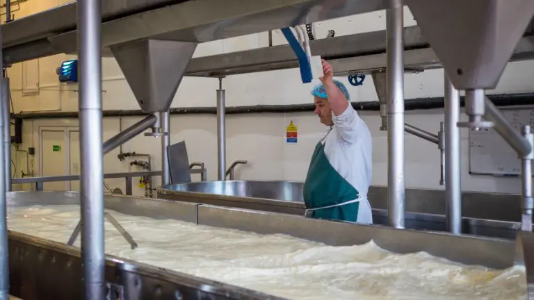 Mljekari će održati mirni protest u Banjaluci, bez traktora