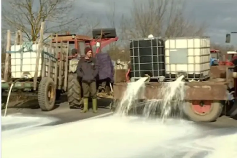“Litra mlijeka jeftinija od krem bananice”: Ibarskom magistralom poteklo mlijeko, poljoprivrednici blokirali put (VIDEO)