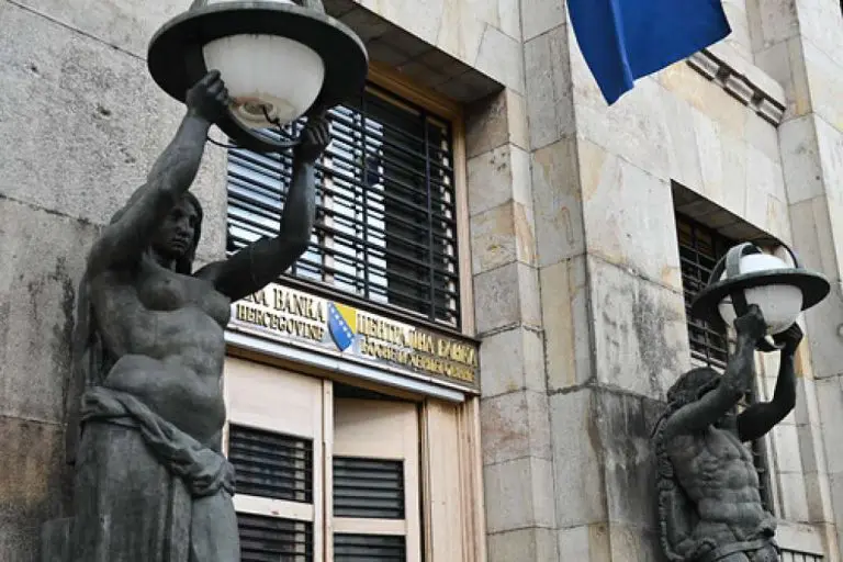 Dijaspora presudna za očuvanje monetarne stabilnosti u BiH