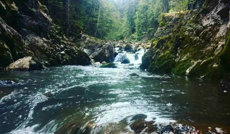 Rijeka Stupčanica sačuvana: Odbijen zahtjev za gradnju mHE Nevačka!