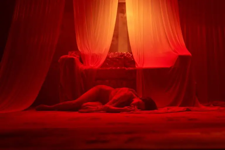 Preobrazba: Geneza jednog propadanja