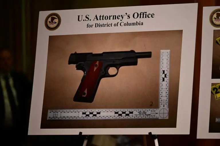 Sve više opasnih “vukova samotnjaka” u SAD-u