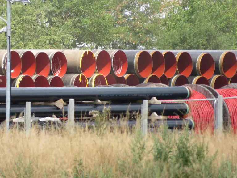 Pogodovanje nepoznatom investitoru, zakon štetan za građane: Beskičmenjaci koji upravljaju našom državom se ponašaju kao vazali diktatora sa zapada!