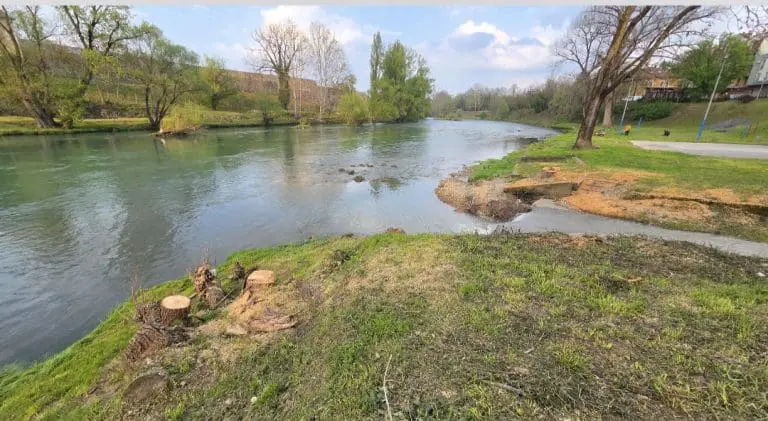 Gradska uprava o posječenim stablima na obali Vrbasa: Razrješen nadzor, zasadiće se 50 novih vrba