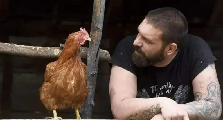 “PRODALI SMO SVE, NEMAMO NIŠTA”: Nikola Borić kreće na put od 3.500 km na konju bez sedla!