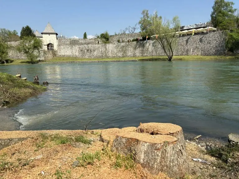 Devastacija zelenila u Banjaluci mora stati: Krajnje vrijeme da se u projekte uključi struka