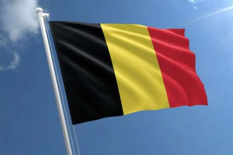 Voz udario školski autobus u Belgiji, ima žrtava