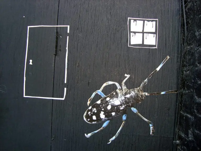 Da li bi Gregor Samsa mogao biti Srbin?